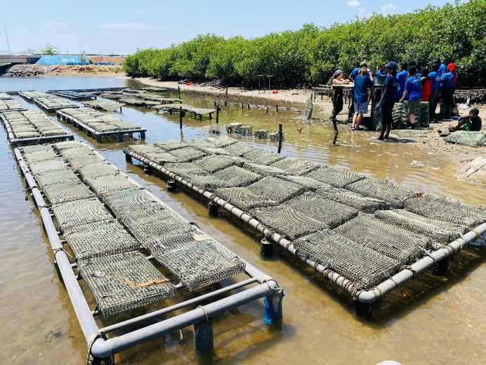 Association pour la Gestion Intégrée des Ressources naturelles et de l’Environnement AGIRE