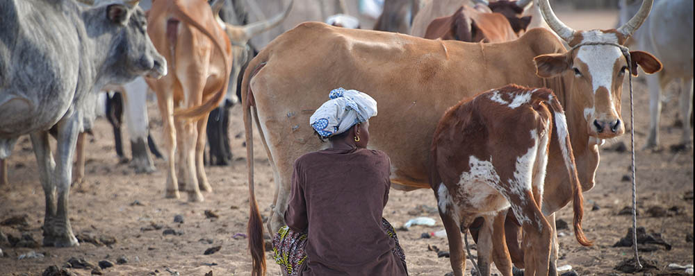 Initiatives sahel
