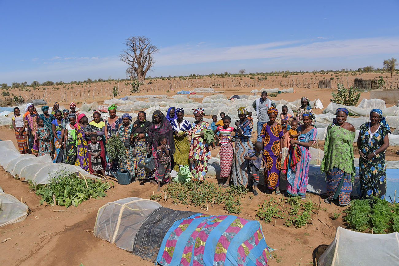 Initiatives sahel